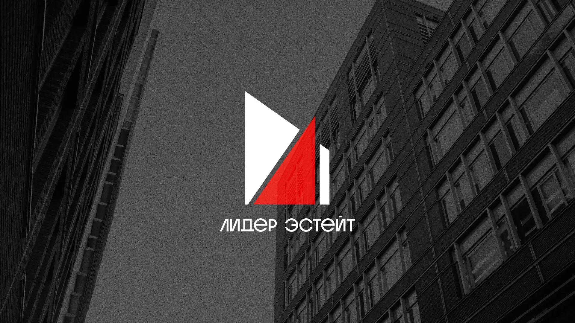 Сделали логотип для агентства недвижимости «Лидер Эстейт» в Урюпинске